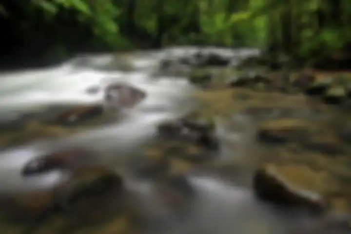 Sungai Haloi, salah satu dari sungai di dalam kawasan Taman Nasional Betung Kerihun.