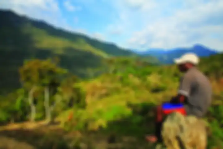 Memandang ke arah Sungai Balim, warga menikmati keragaman Tanah Papua.