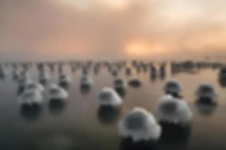 Estonia—Seperti jamur yang tumbuh di tanah, tiang-tiang kayu bertudung es ini bertebaran di atas per
