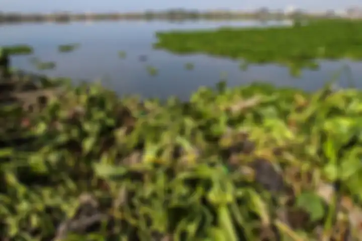 Eceng gondok dan sampah menjadi ancaman utama waduk ini. Normalisasi waduk ini dimulai sejak perteng