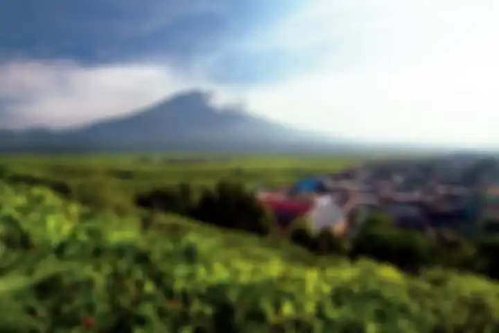 Hamparan perkebunan teh di Kersik Tuo dengan latar Gunung Kerinci (3.805 mdpl) menjadi suguhan kala 