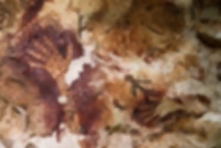 Gambar cadas berupa cap tangan ditemukan di Gua Beloyot, Merabu, Kabupaten Berau, Kalimantan Timur. 