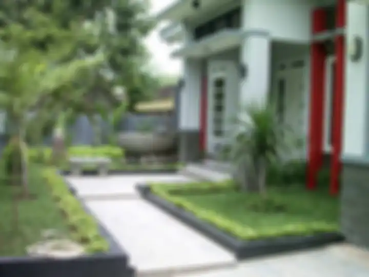 Rumput gajah di halaman. 