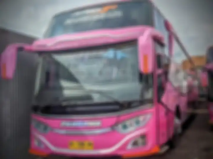 Foto netizen memberi bukti bus Pandawa yang alami kecelakaan maut di Ciamis cuma kendaraan bekas dari perusahaan ini. 