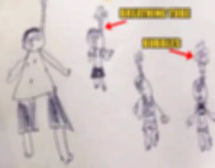 Gambar siswa yang dikira mengalami depresi.