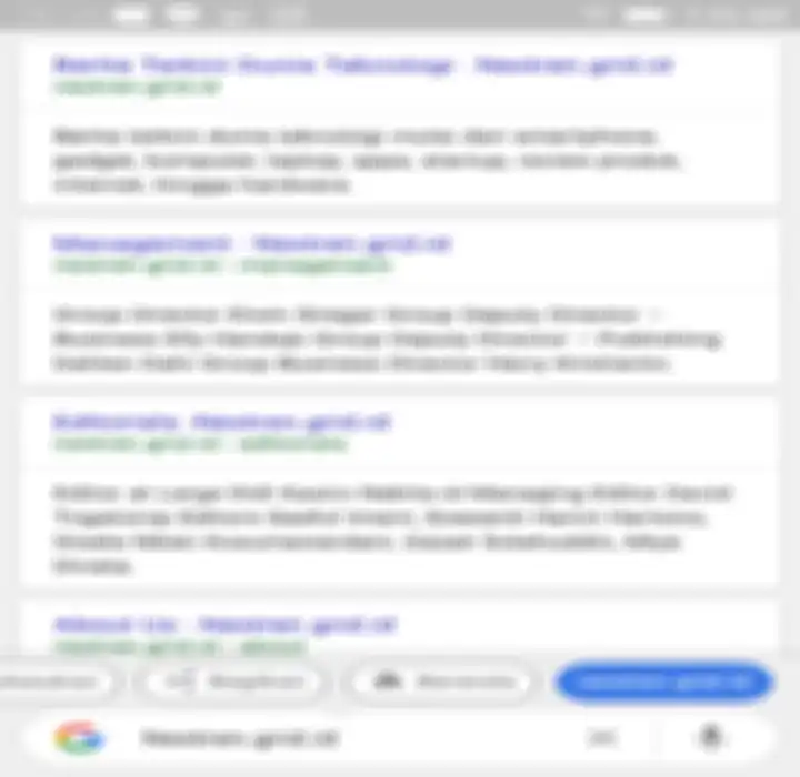 Tampilan Google Go