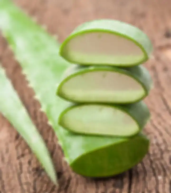 lidah buaya