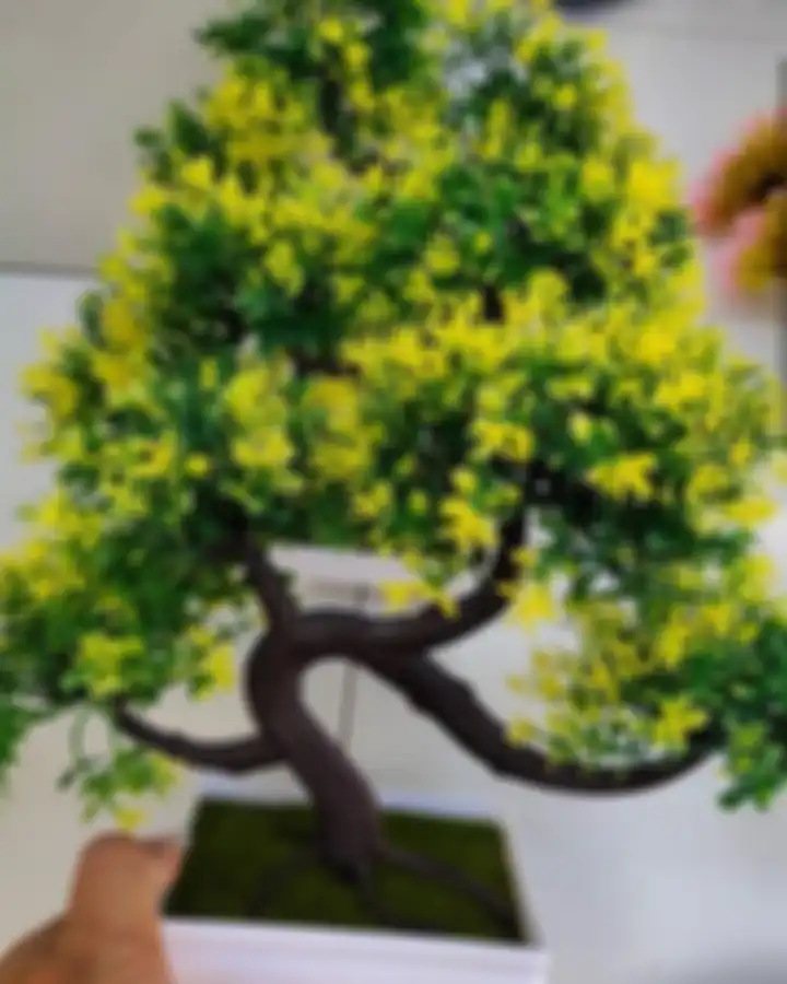 Hiasan ini kerap diniatkan menjadi dekorasi ruangan di rumah mungil. Namun, feng shui meminta hiasan ini dibuang. 