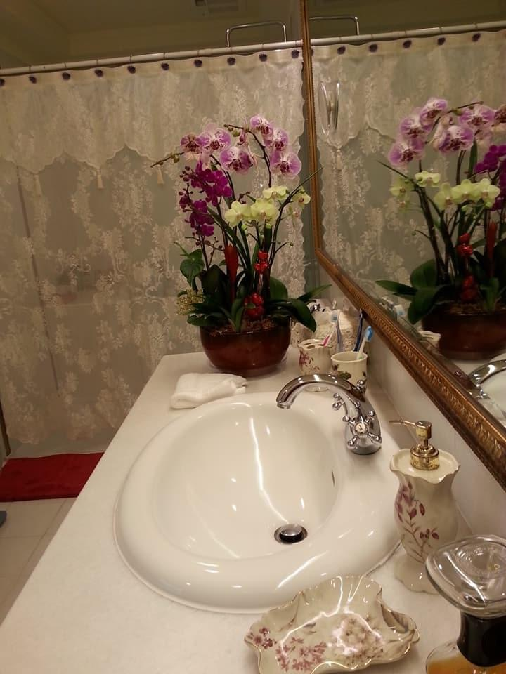 Inilah 9 tanaman penghilang bau toilet yang dijamin selalu bikin segar. Wangi alami kamar mandi dipuji Ibu-ibu. Intip foto profilnya. 