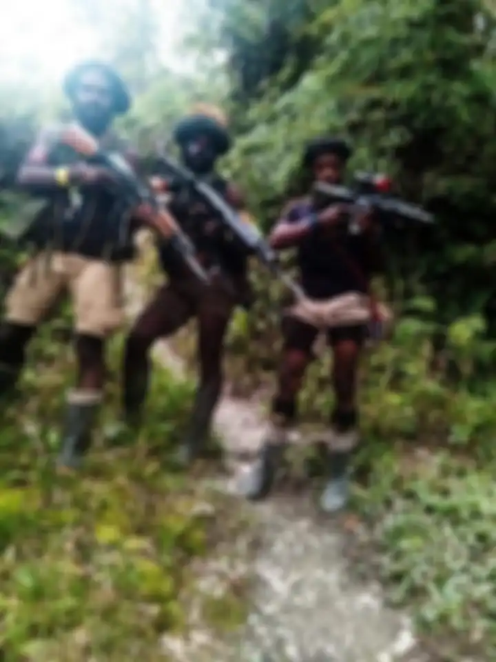 Kapolda Papua Mathius Fakhiri sempat melarang anak buahnya mengejar KKB Papua. Warga kampung kembali dibunuh dengan cara keji.