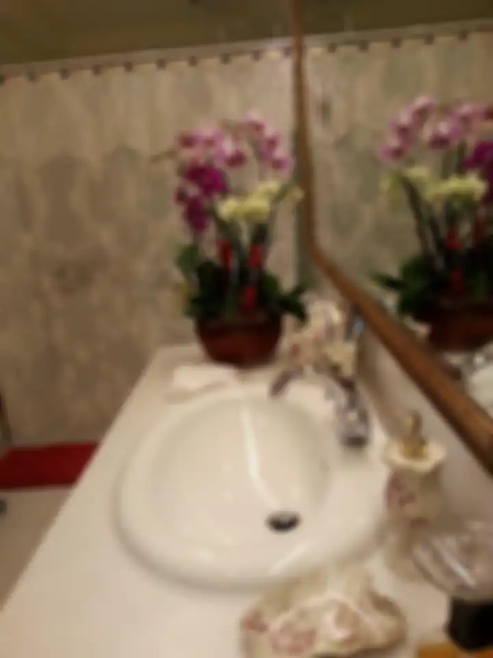 Inilah 9 tanaman penghilang bau toilet yang dijamin selalu bikin segar. Wangi alami kamar mandi dipuji Ibu-ibu. Intip foto profilnya. 