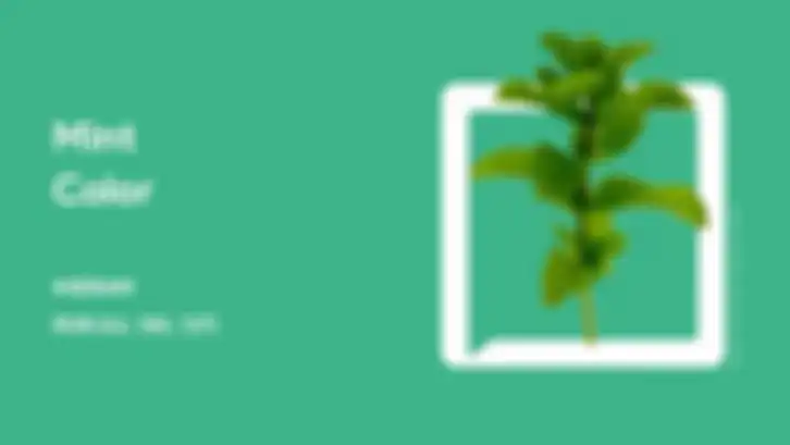 Foto: Warna Mint Kode #3EB489  