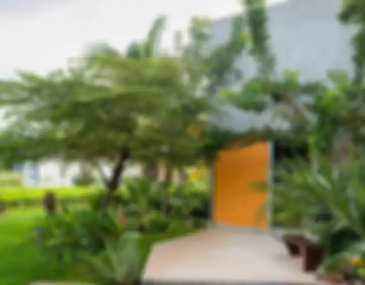 Ular Tidak Suka Wangi Parfum, Ternyata Ini Kata Ahli Agar Rumah Terhindar dari Hewan Berbisa Ini