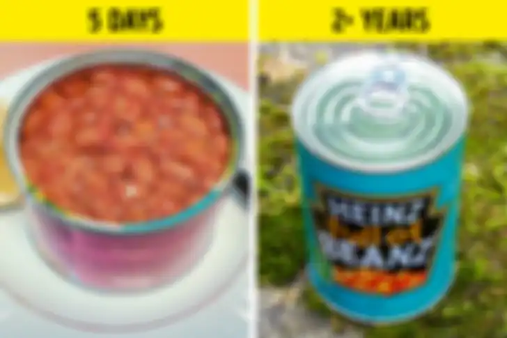 Biji-bijian