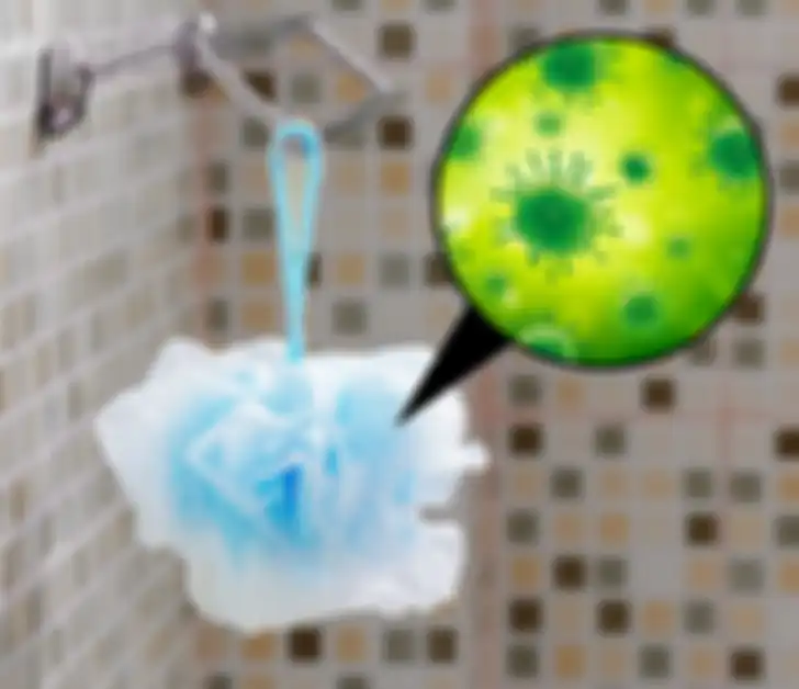 Loofah