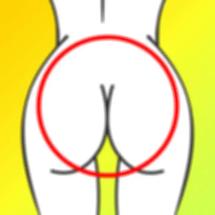 Pantat berbentuk bulat