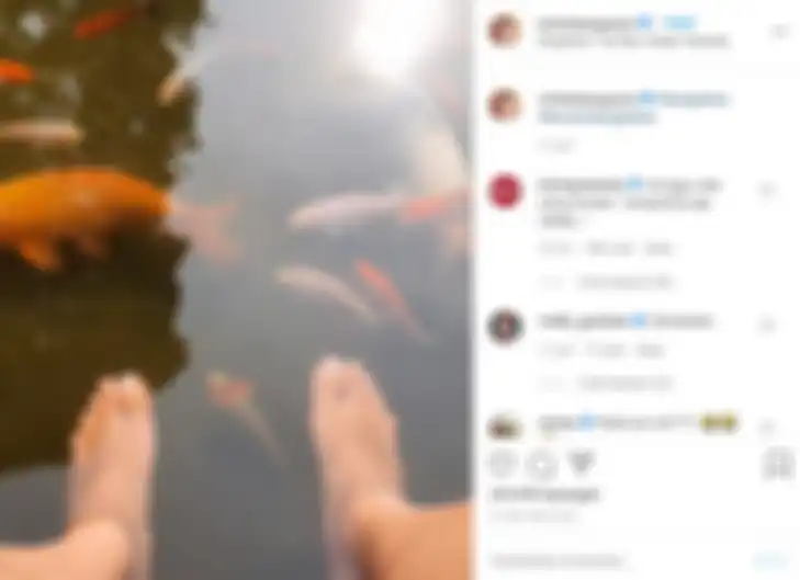 Nicholas Saputra bikin geger netizen usai posting foto kaki di kolam ikan.