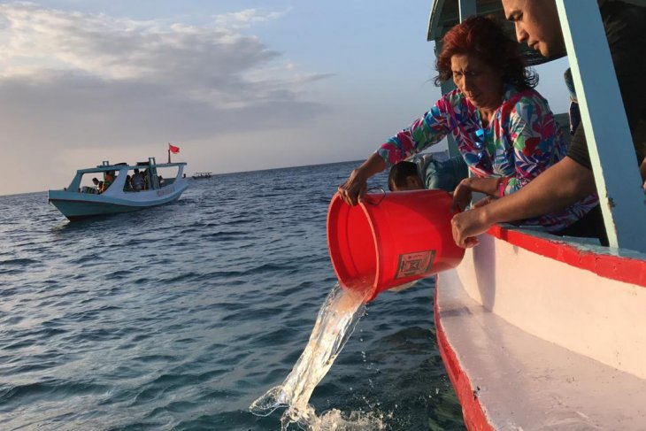 Menteri Susi lepas liarkan benih lobster