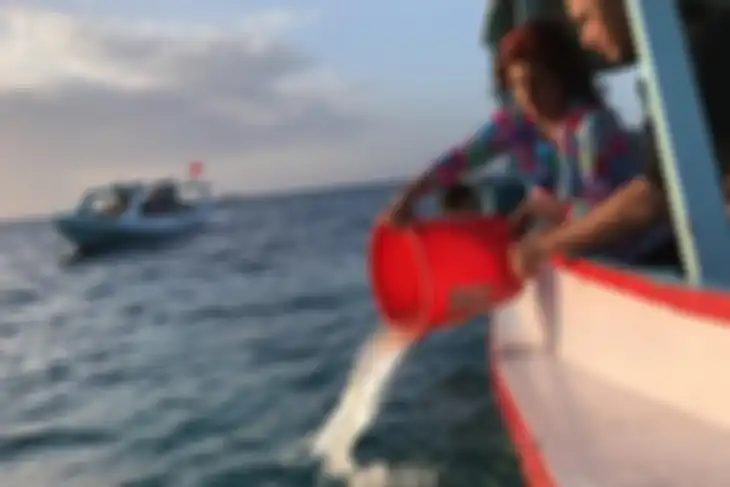 Menteri Susi lepas liarkan benih lobster
