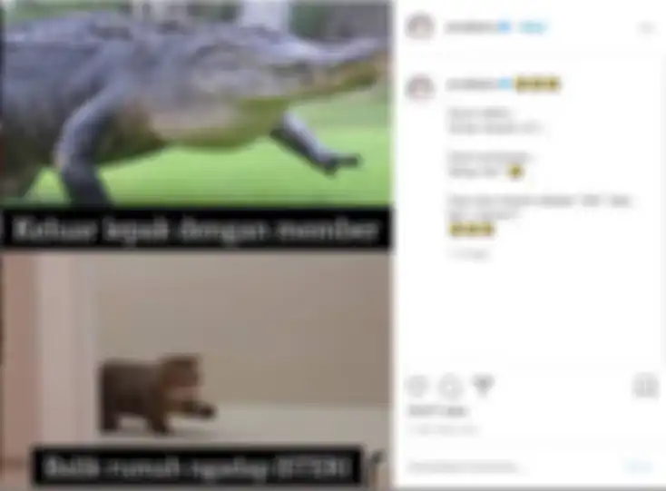 Postingan mantan istri Engku Emran, Erra Fazira tentang buaya darat.