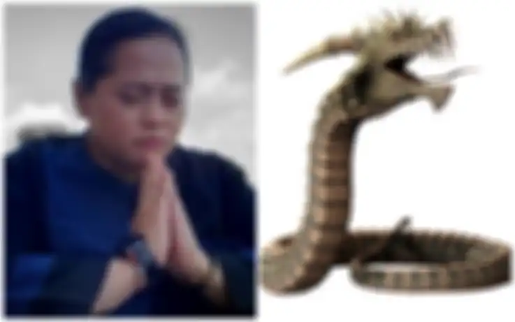 Ilustrasi ular dan Mbak You. Ngaku Ikhlas Jalani Nasib Usai Kawin dengan Ular Raksasa, Paranormal Mbak You Punya Nazar Bangun Panti Asuhan yang Belum Terwujud hingga Kini