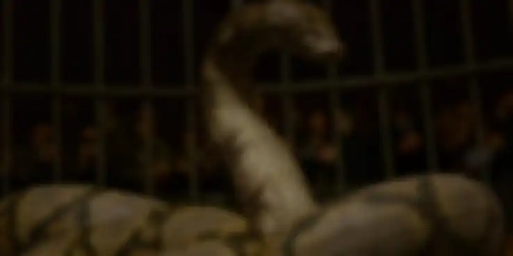 Nagini