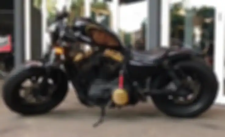 Gading Marten punya HD Sporster 48