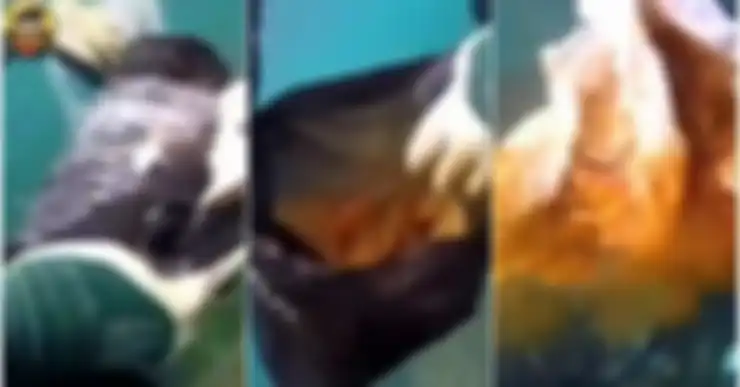 Seorang penyelam menemukan bungkusan misterius di dasar laut yang diyakini ada hubungannya dengan ilmu hitam.