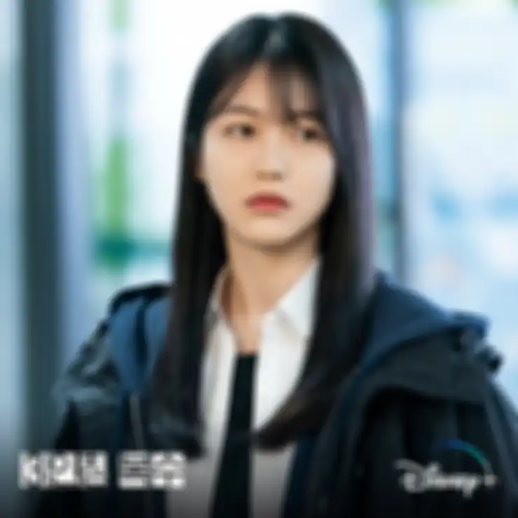 Drama Korea Revenge of Others