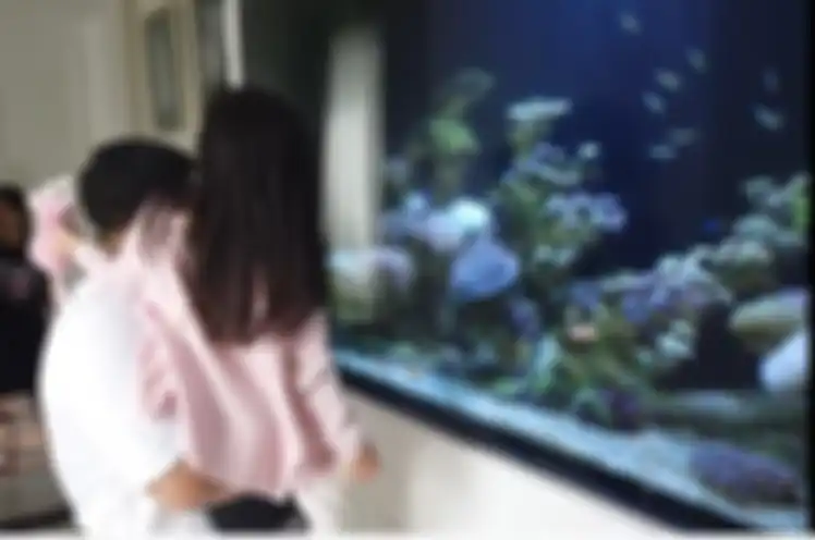 Aquarium besar di rumah Jordi Onsu