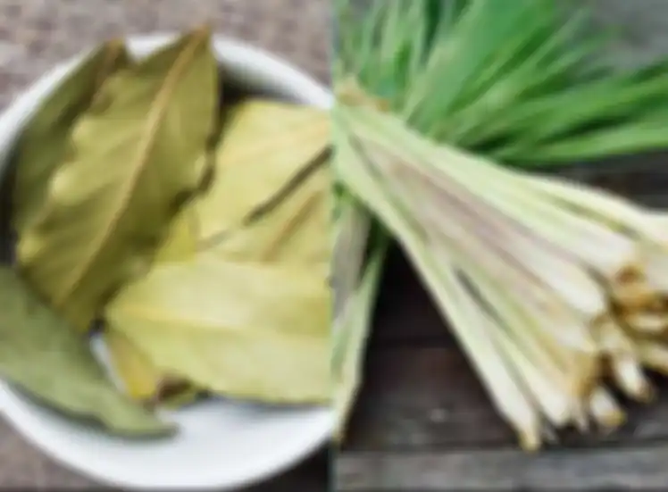 Manfaat daun salam dan sereh untuk atasi asam urat