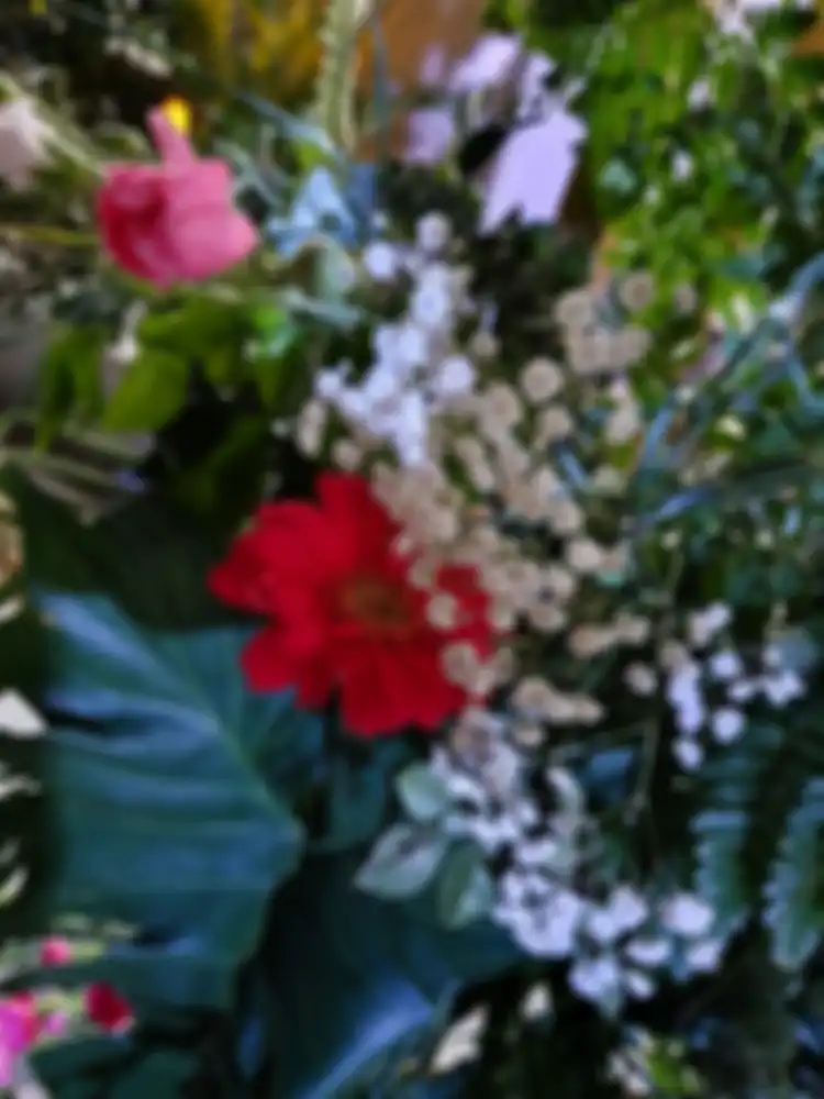 Samsung galaxy S10, hasil foto indoor cahaya cukup