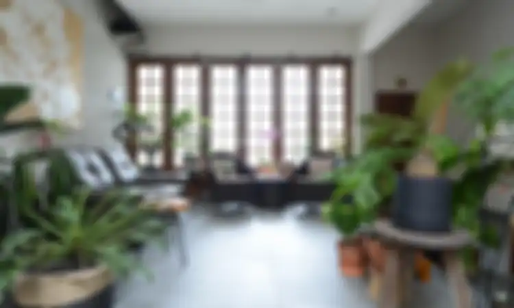 Punya Rumah ala Hutan, Begini Tips Merawat Tanaman dari @limsjungle