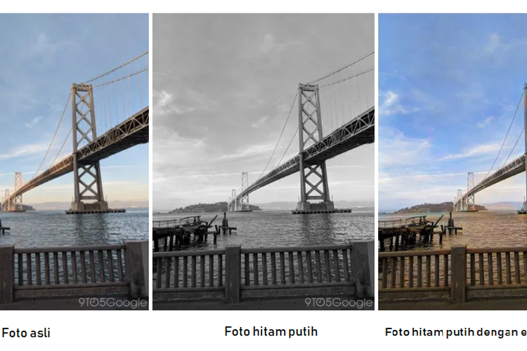 Foto hitam putih yang diedit dengan fitur Colorize 