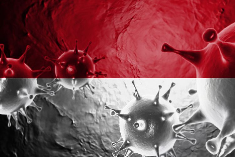 Angin Segar untuk Tanah Air di Tengah Wabah Covid-19, 58 Negara Siap Bantu Indonesia Perangi Virus Corona, Kini Angka Pasien Sembuh Meningkat Drastis!