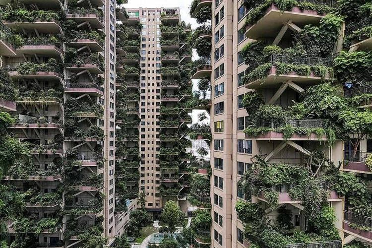 Sebuah foto tak bertanggal yang menampilakn properti hunian Taman Hutan Kota Qiyi di Chengdu, China.