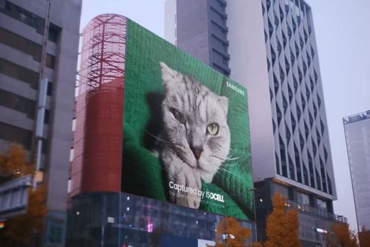Iklan baliho yang menampilkan foto seekor kucing yang merupakan hasil jepretan kamera Samsung dengan sensor Isocell HP1