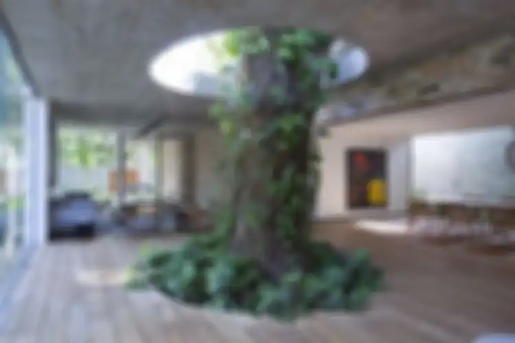 menyatukan pohon dengan desain rumah