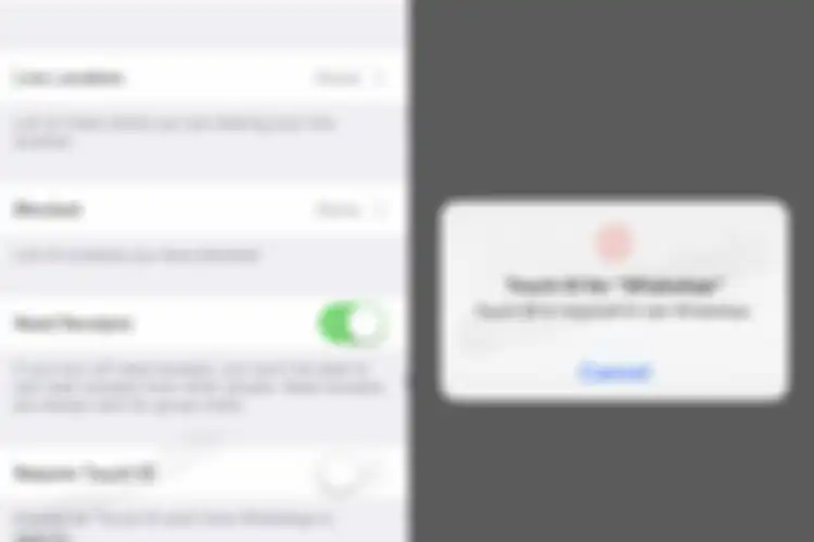 Fitur TouchID di WhatsApp