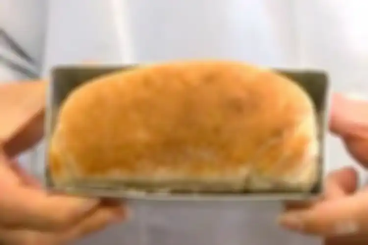 Roti dengan tepung kecoak