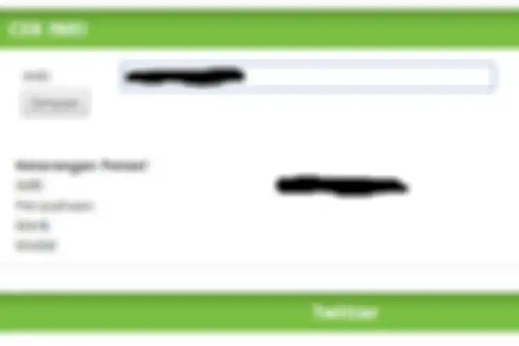 IMEI yang terdaftar pada halaman Kemenperin. 