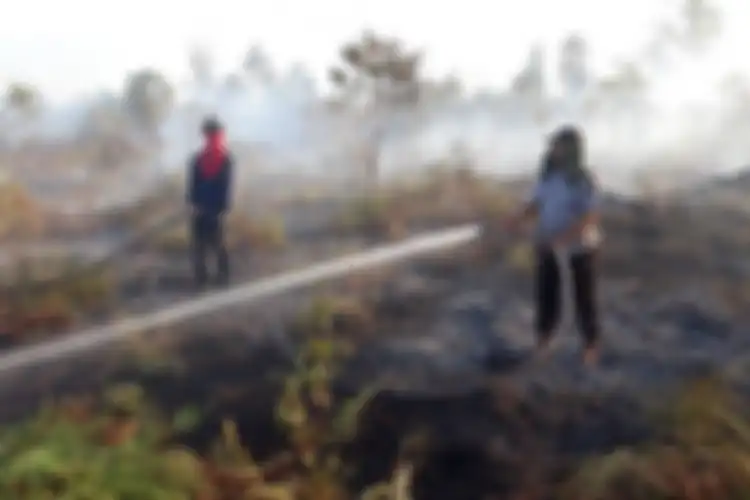 Tim satgas berupaya memadamkan kebakaran hutan dan lahan di kampung bungsur kecamatan sungai api siak.