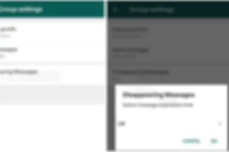 Screenshot fitur Disaappearing Messages di WhatsApp