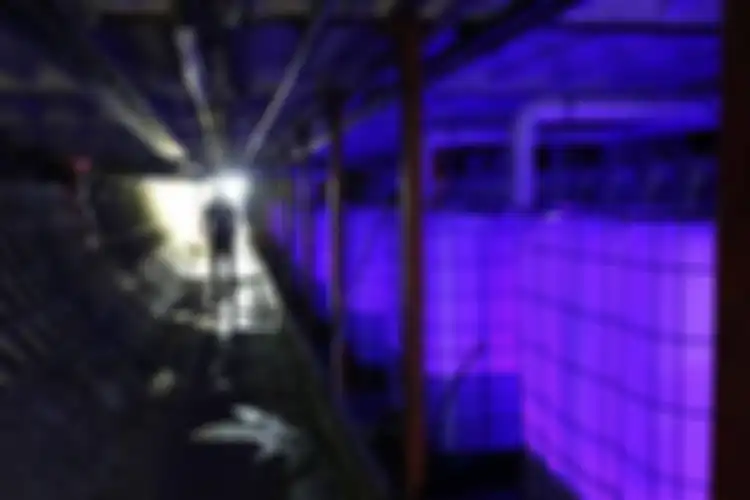 Metode tanam hidroponik dengan LED ini memiliki beberapa keunggulan antara lain rendah konsumsi energi dan tidak menggunakan tanah sebagai media tanam. 