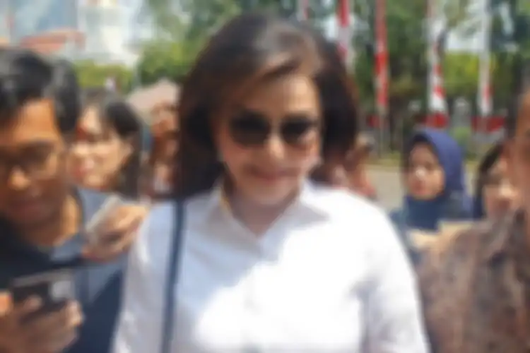 Digadang-gadang Jadi Calon Menteri di Kabinet Jokowi Jilid 2, Siapakah Tetty Paruntu?