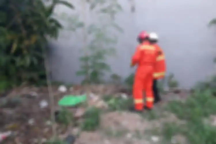 Teror Ular Kobra Meresahkan Warga, Yuk Lakukan ini Untuk Menghindarinya
