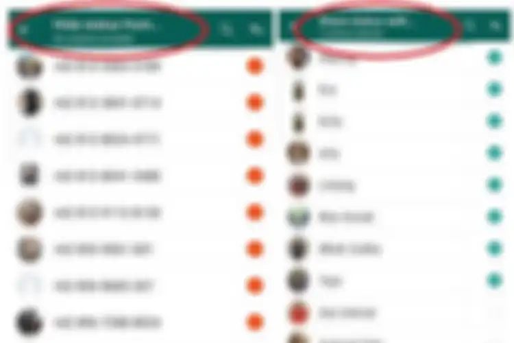 Opsi yang muncul di WhatsApp Status