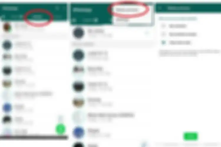 Cara menyembunyikan WhatsApp Status