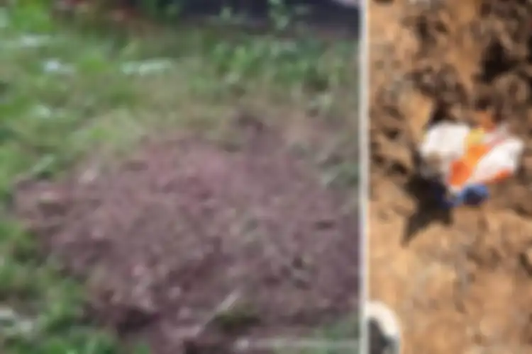 Kuburan dari kucing yang dibakar ketika si pemilik sedang dikarantina di rumah sakit.