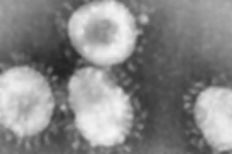 virus corona yang terlihat dari mikroskop